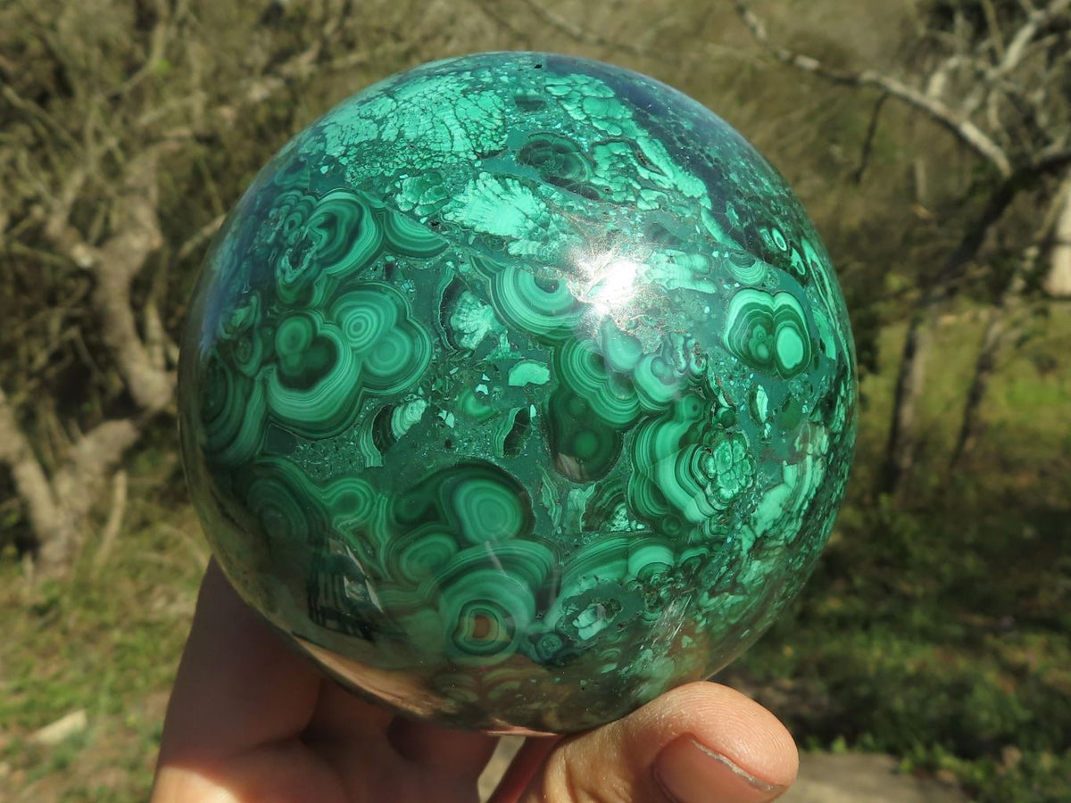 Polished Gorgeous Flower Silky Malachite Conglomerate Sphere x 1 From Congo - TopRock