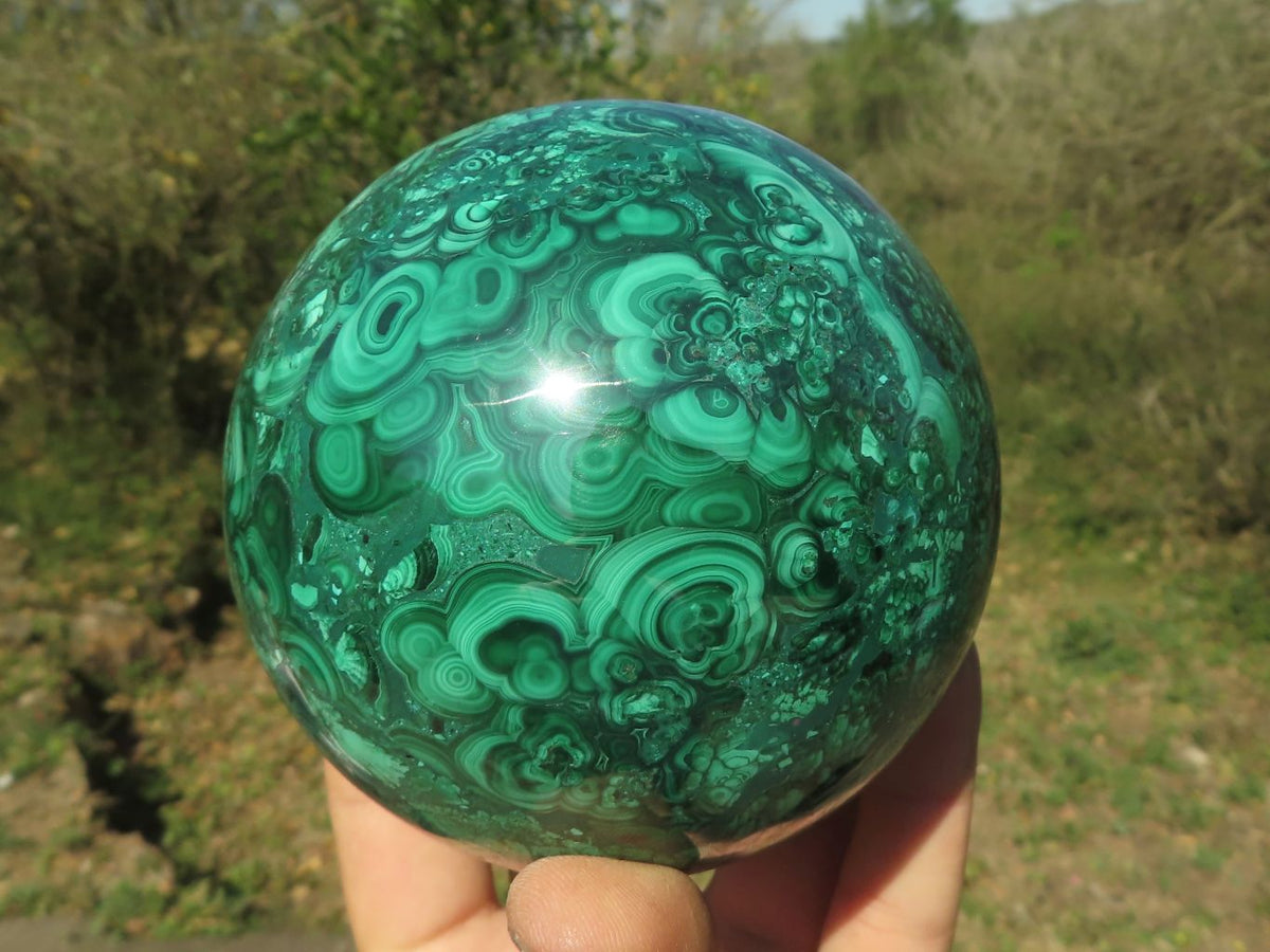 Polished Gorgeous Flower Silky Malachite Conglomerate Sphere x 1 From Congo - TopRock