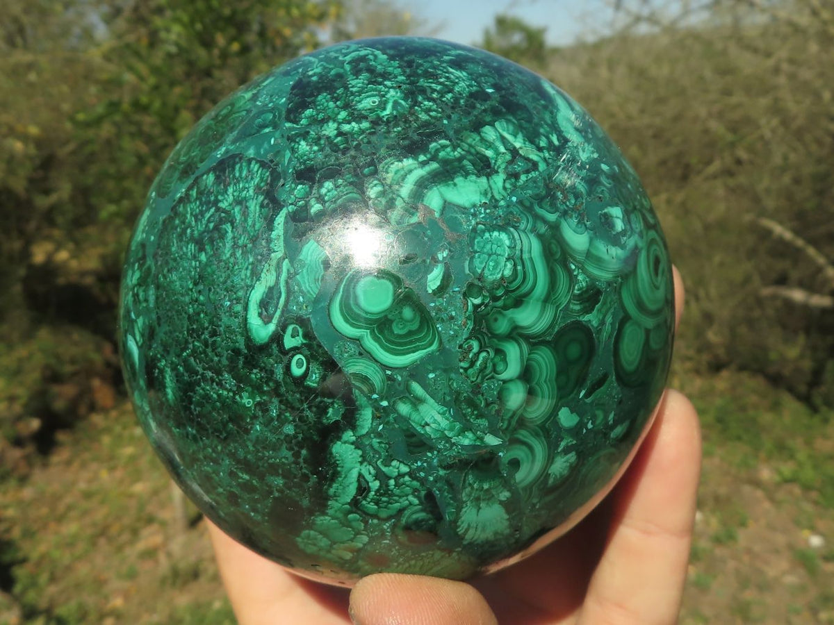 Polished Gorgeous Flower Silky Malachite Conglomerate Sphere x 1 From Congo - TopRock