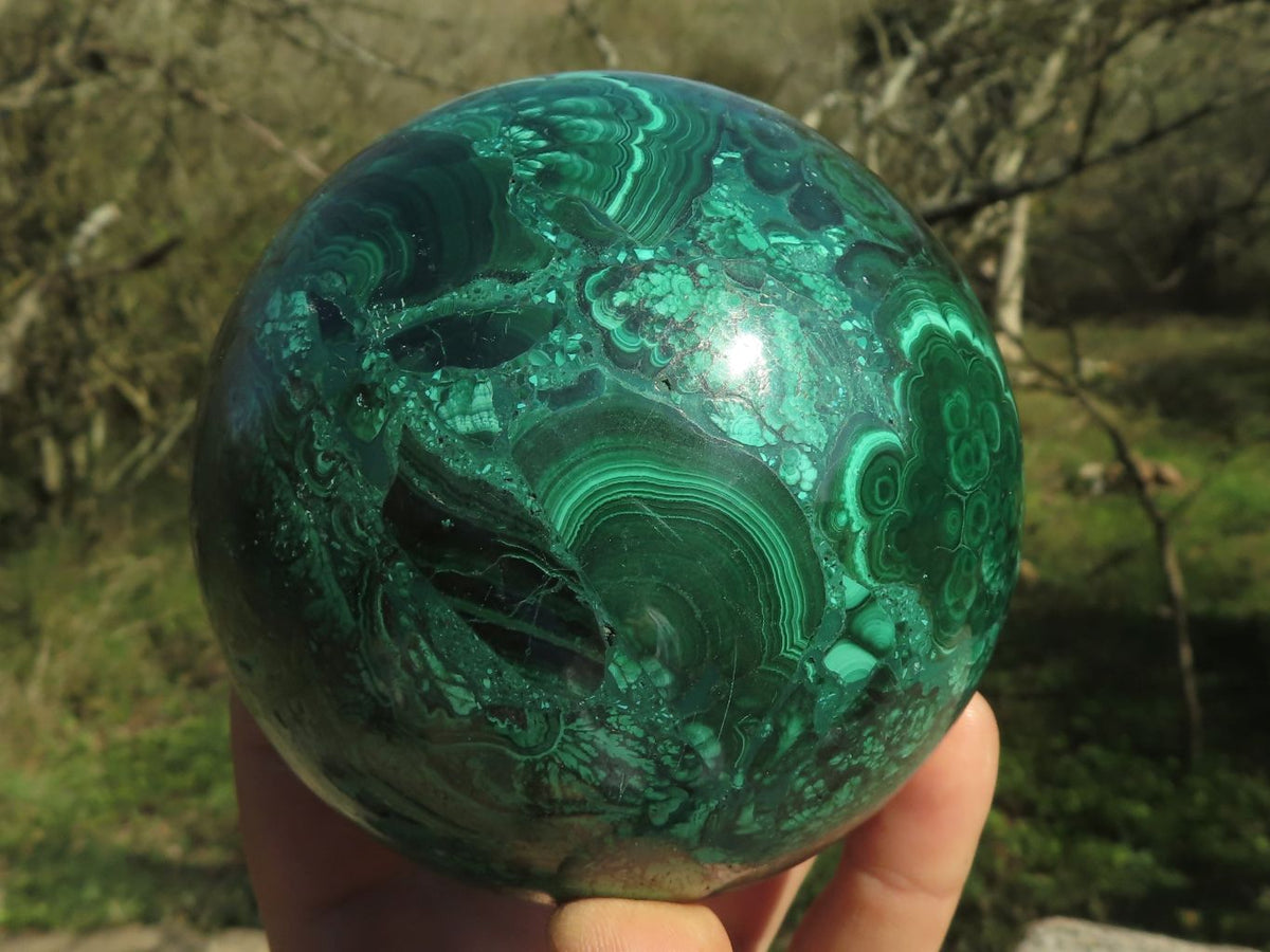 Polished Gorgeous Flower Silky Malachite Conglomerate Sphere x 1 From Congo - TopRock