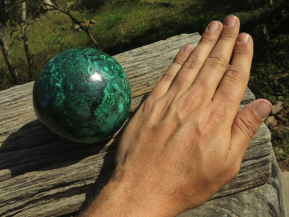 Polished Gorgeous Flower Silky Malachite Conglomerate Sphere x 1 From Congo - TopRock