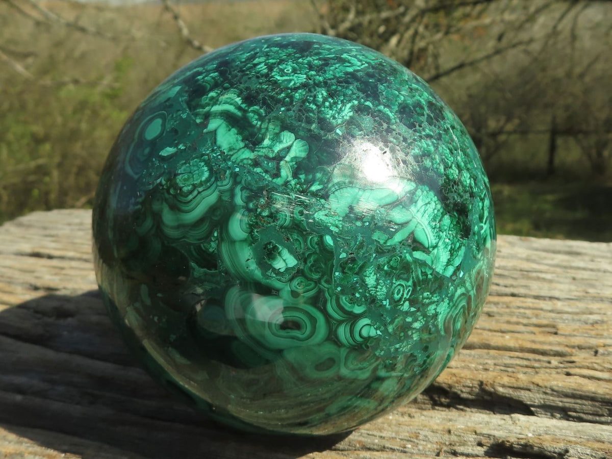 Polished Gorgeous Flower Silky Malachite Conglomerate Sphere x 1 From Congo - TopRock
