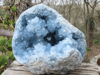 Natural Blue Celestite Geode Specimen  x 1 From Sakoany, Madagascar - Toprock Gemstones and Minerals