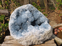 Natural Blue Celestite Geode Specimen  x 1 From Sakoany, Madagascar - Toprock Gemstones and Minerals