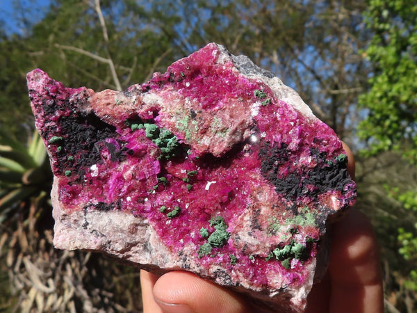 Natural Bright Pink Salrose Cobaltion Dolomite Specimens  x 4 From Kakanda, Congo - Toprock Gemstones and Minerals 