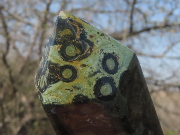 Polished Stromatolite / Kambamba Jasper Points  x 2 From Katsepy, Madagascar - TopRock