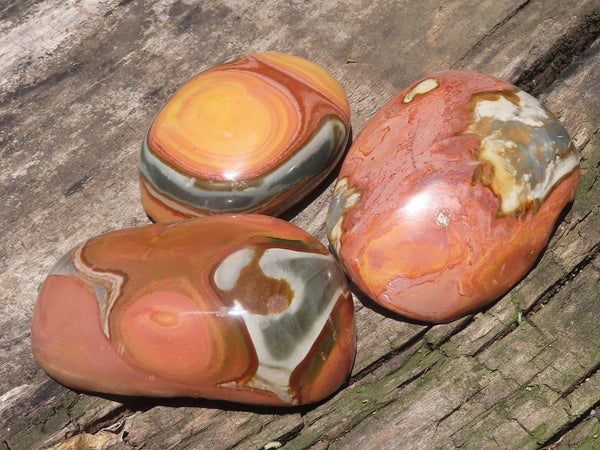 Polished Selected Polychrome / Picasso Jasper Free Forms  x 6 From Madagascar - TopRock