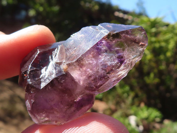 Natural Smokey Amethyst Window Quartz Crystals  x 20 From Chiredzi, Zimbabwe