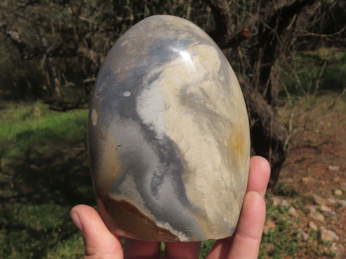 Polished Polychrome Jasper Standing Free Forms x 2 From Mahajanga, Madagascar - TopRock