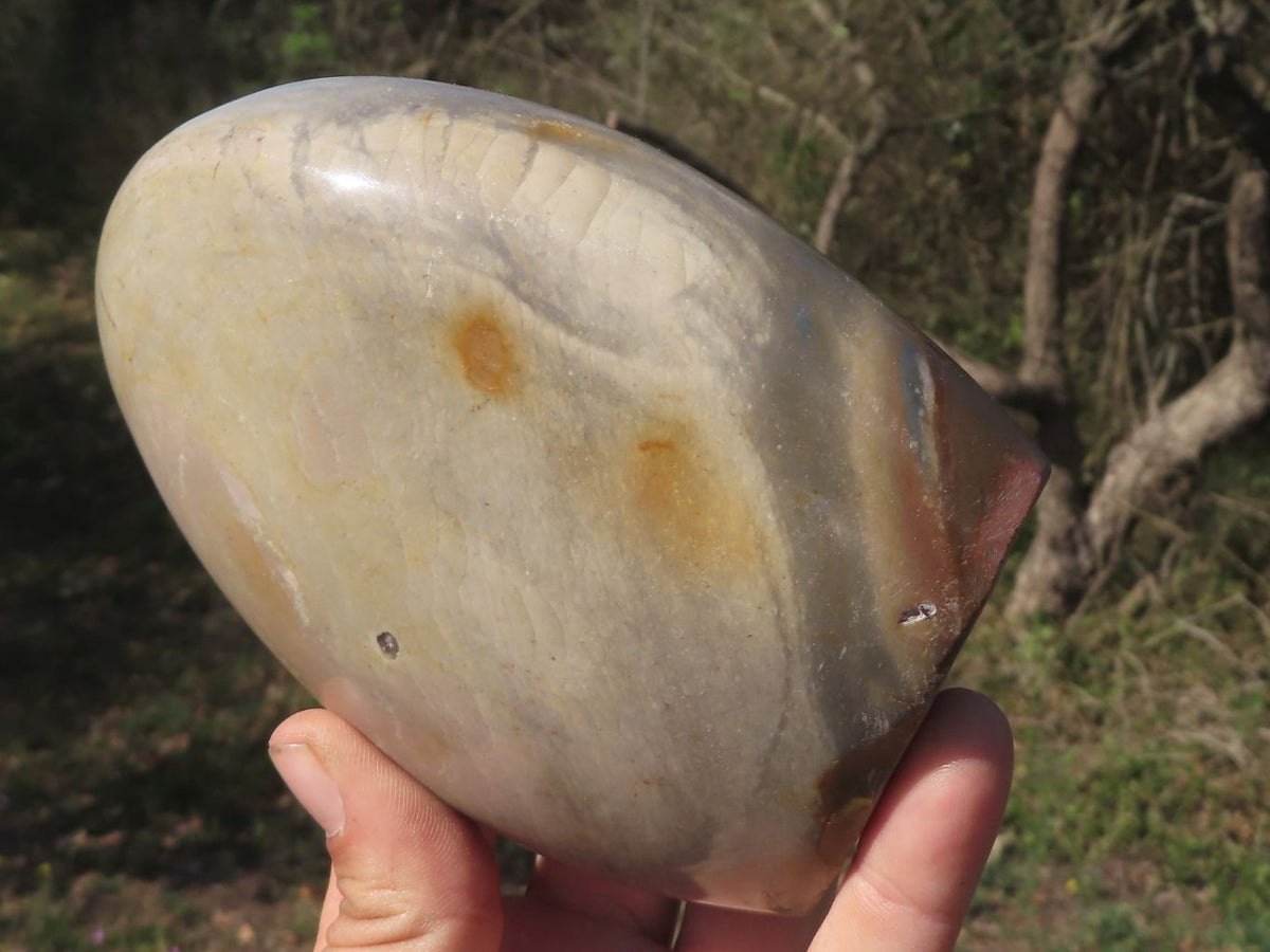 Polished Polychrome Jasper Standing Free Forms x 2 From Mahajanga, Madagascar - TopRock