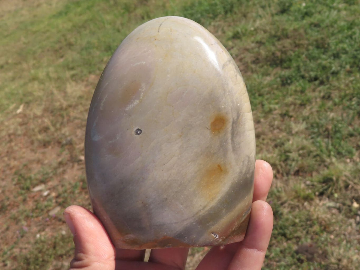 Polished Polychrome Jasper Standing Free Forms x 2 From Mahajanga, Madagascar - TopRock
