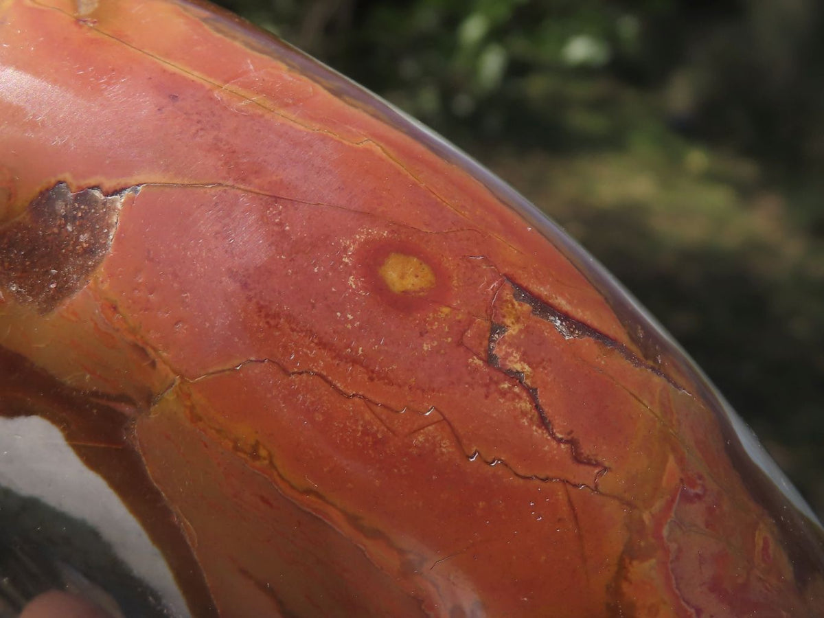 Polished Polychrome Jasper Standing Free Forms x 2 From Mahajanga, Madagascar - TopRock