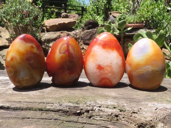 Polished Large Carnelian Agate Standing Free Forms x 4 From Madagascar - TopRock