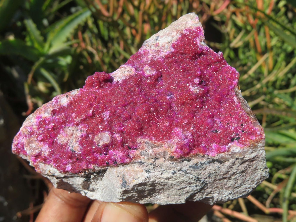 Natural Drusy Salrose Cobaltion Dolomite Specimens x 6 From Kakanda, Congo - TopRock