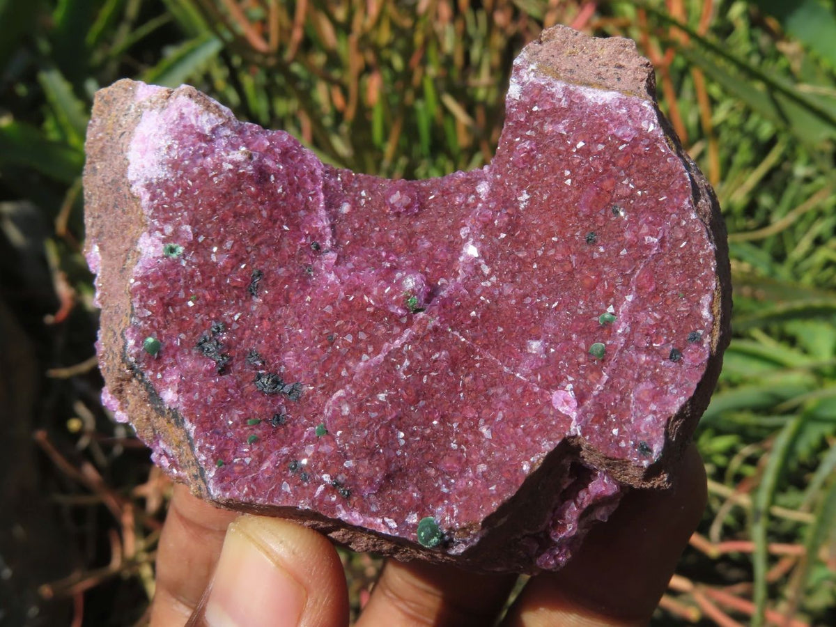 Natural Drusy Salrose Cobaltion Dolomite Specimens x 6 From Kakanda, Congo - TopRock
