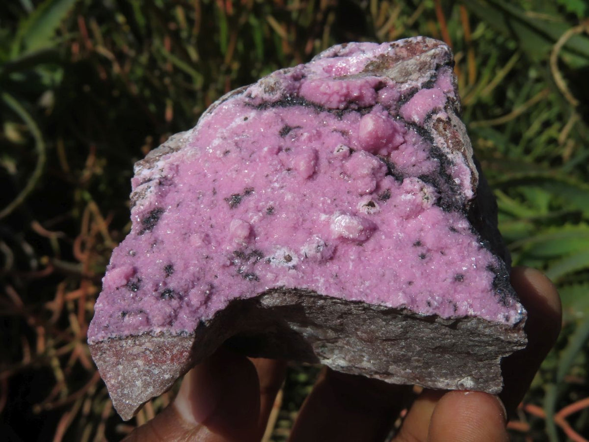 Natural Drusy Salrose Cobaltion Dolomite Specimens x 6 From Kakanda, Congo - TopRock