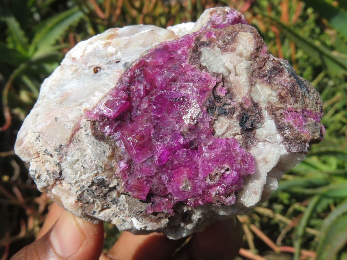 Natural Drusy Salrose Cobaltion Dolomite Specimens x 6 From Kakanda, Congo - TopRock