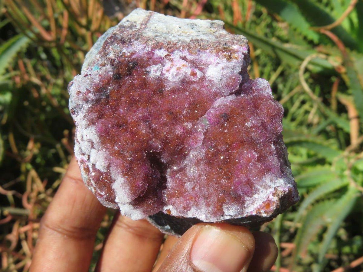 Natural Drusy Salrose Cobaltion Dolomite Specimens x 6 From Kakanda, Congo - TopRock