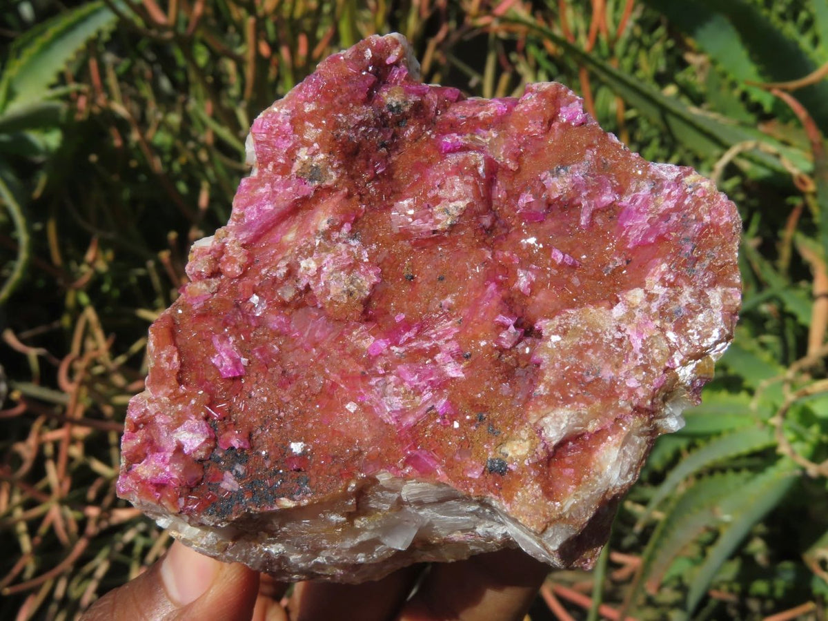 Natural Drusy Salrose Cobaltion Dolomite Specimens x 6 From Kakanda, Congo - TopRock