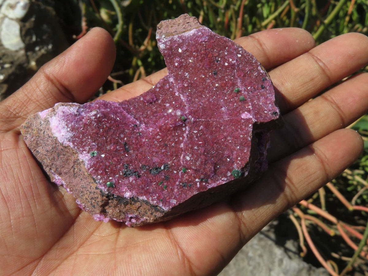 Natural Drusy Salrose Cobaltion Dolomite Specimens x 6 From Kakanda, Congo - TopRock