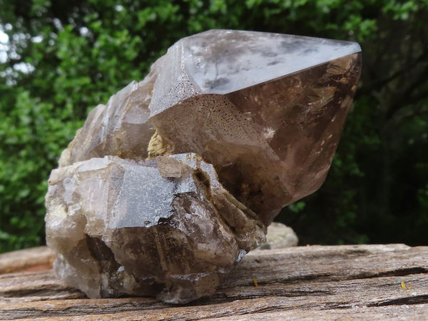 Natural Large Morion Smokey Quartz Crystals  x 3 From Mulanje, Malawi - TopRock
