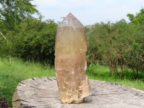 Natural Standing Angolan Smokey Quartz Half Natural & Half Polished Crystal x 1 From Angola - TopRock