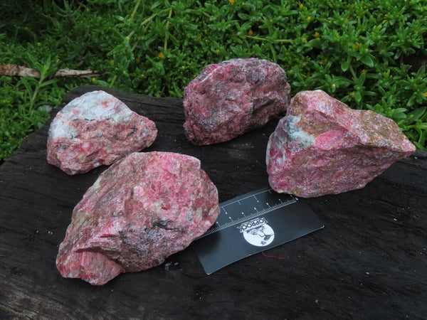 Natural Rhodonite Rough Specimens x 4 From Zimbabwe - TopRock