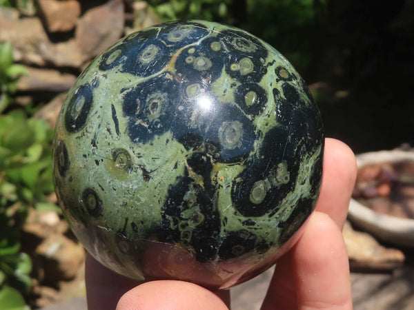 Polished Stromatolite / Kambamba Jasper Spheres  x 4 From Mahajanga, Madagascar - TopRock