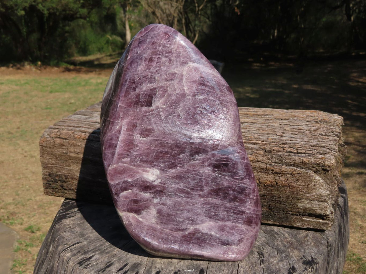 Polished Stunning Rare Angelite/Anhydrite Standing Free Form x 1 From Tulear, Madagascar - TopRock