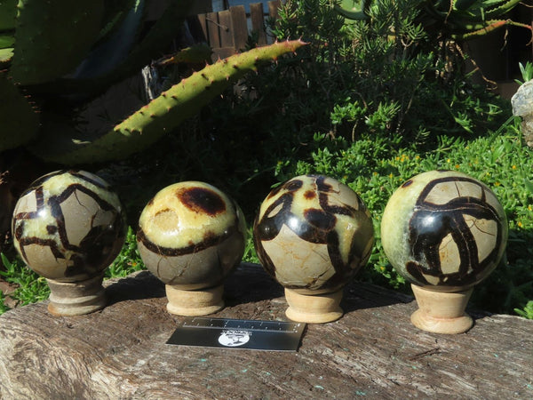 Polished Septerye Spheres x 4 From Madagascar - TopRock