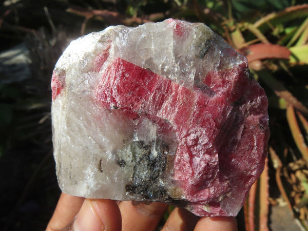 Natural Red Rhodonite Cobbed Pieces x 12 From Zimbabwe - TopRock