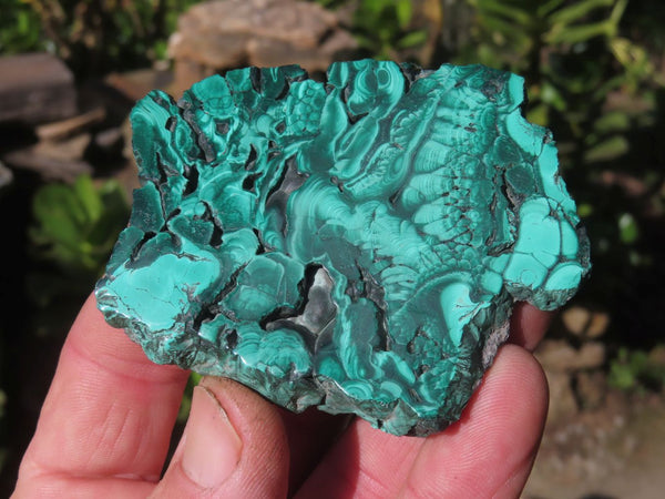 Polished Flower & Banded Malachite Slices x 12 From Congo - TopRock