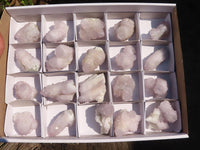 Natural Pale Lilac Spirit Amethyst Quartz Crystals x 20 From Boekenhouthoek, South Africa - Toprock Gemstones and Minerals