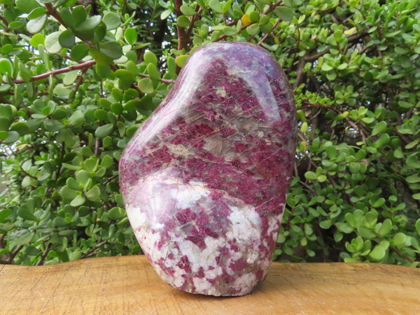 Polished Red Rubellite Large Standing Free Form x 1 From Madagascar - TopRock