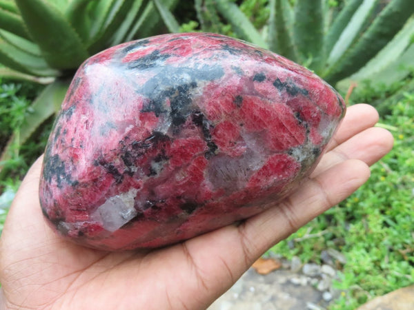 Polished Rhodonite Standing Free Form x 1 From Zimbabwe - TopRock
