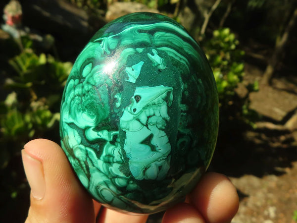 Polished Stunning Flower Banded Malachite Eggs  x 2 From Congo
