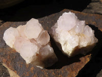 Natural White Cactus Flower Spirit Quartz Specimens  x 6 From Boekenhouthoek, South Africa - Toprock Gemstones and Minerals