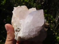 Natural White Cactus Flower Spirit Quartz Specimens  x 6 From Boekenhouthoek, South Africa - Toprock Gemstones and Minerals