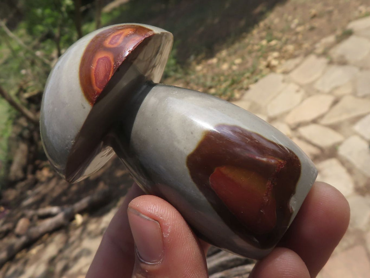 Polished Large Lovely Polychrome / Picasso Jasper Mushrooms x 6 From Mahajanga, Madagascar - TopRock