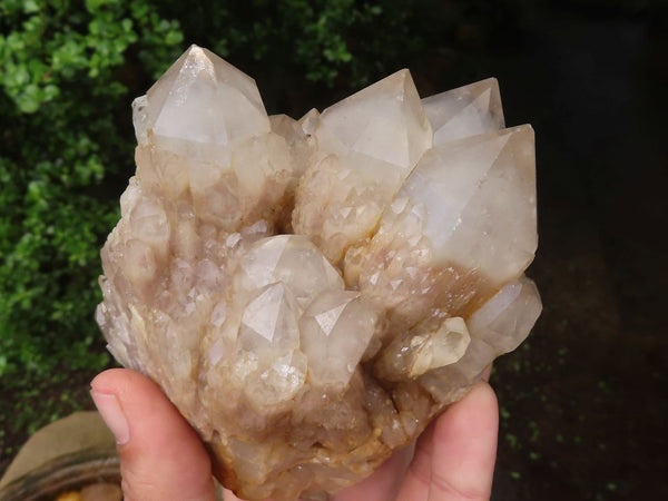 Natural Cascading White Phantom Quartz Clusters  x 2 From Luena, Congo - Toprock Gemstones and Minerals 