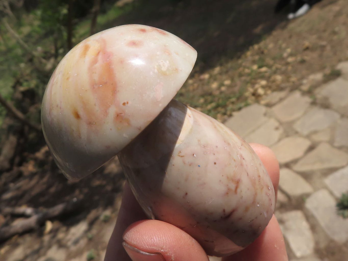 Polished Large Lovely Polychrome / Picasso Jasper Mushrooms x 6 From Mahajanga, Madagascar - TopRock