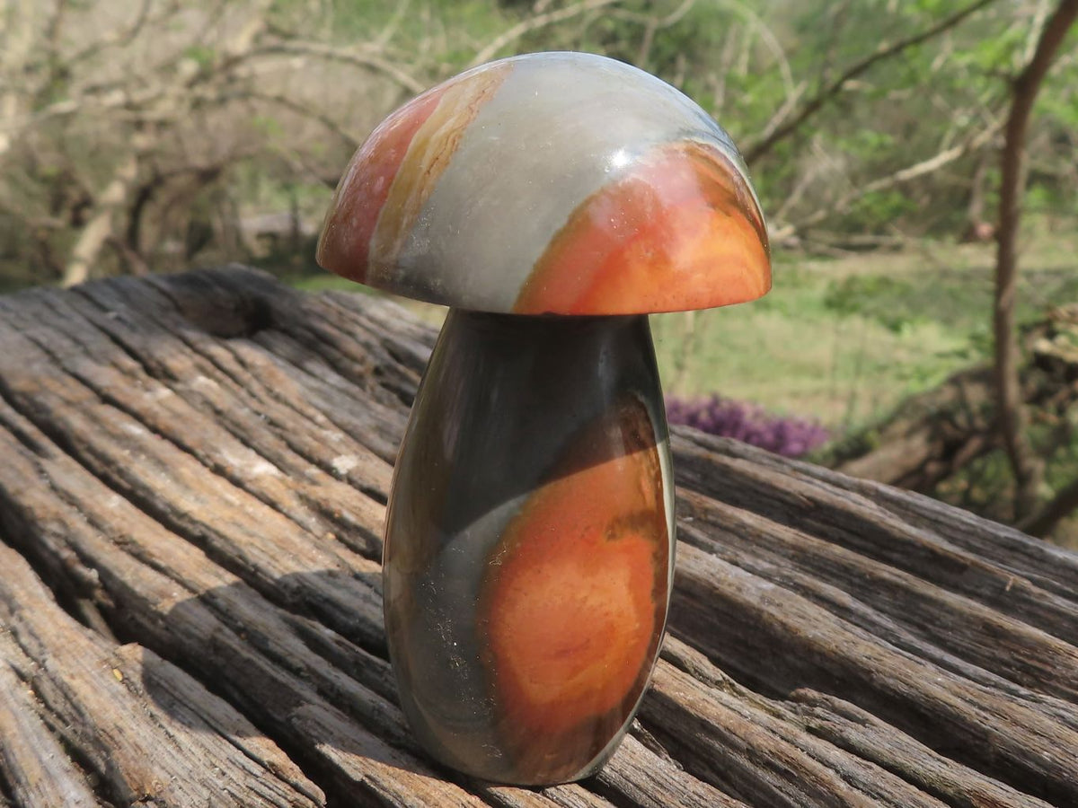 Polished Large Lovely Polychrome / Picasso Jasper Mushrooms x 6 From Mahajanga, Madagascar - TopRock