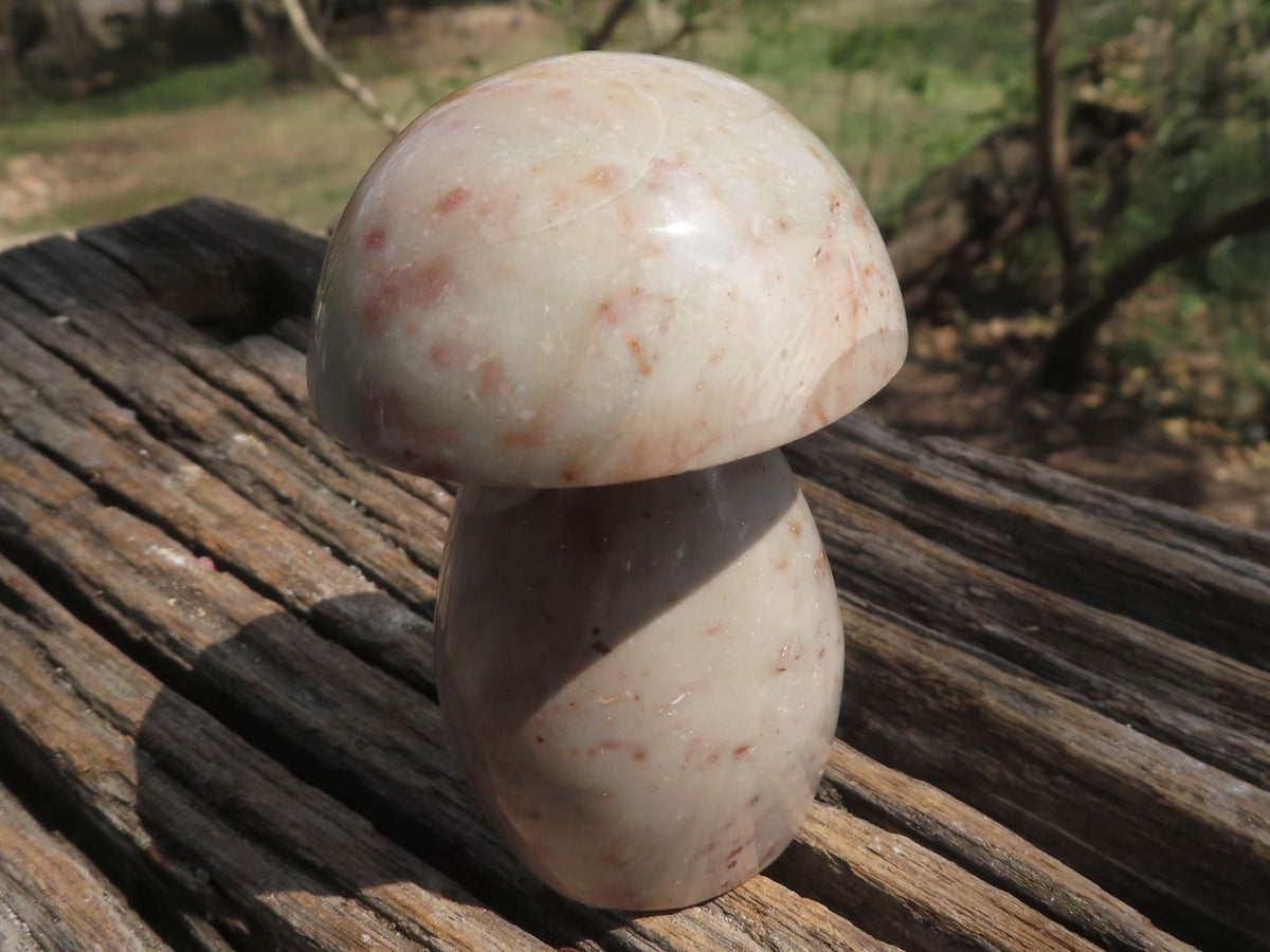 Polished Large Lovely Polychrome / Picasso Jasper Mushrooms x 6 From Mahajanga, Madagascar - TopRock