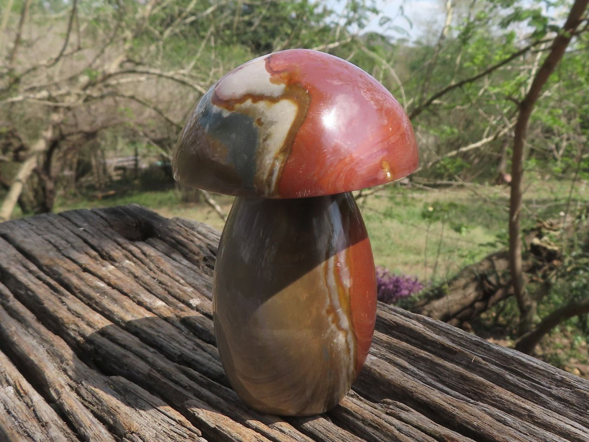 Polished Large Lovely Polychrome / Picasso Jasper Mushrooms x 6 From Mahajanga, Madagascar - TopRock