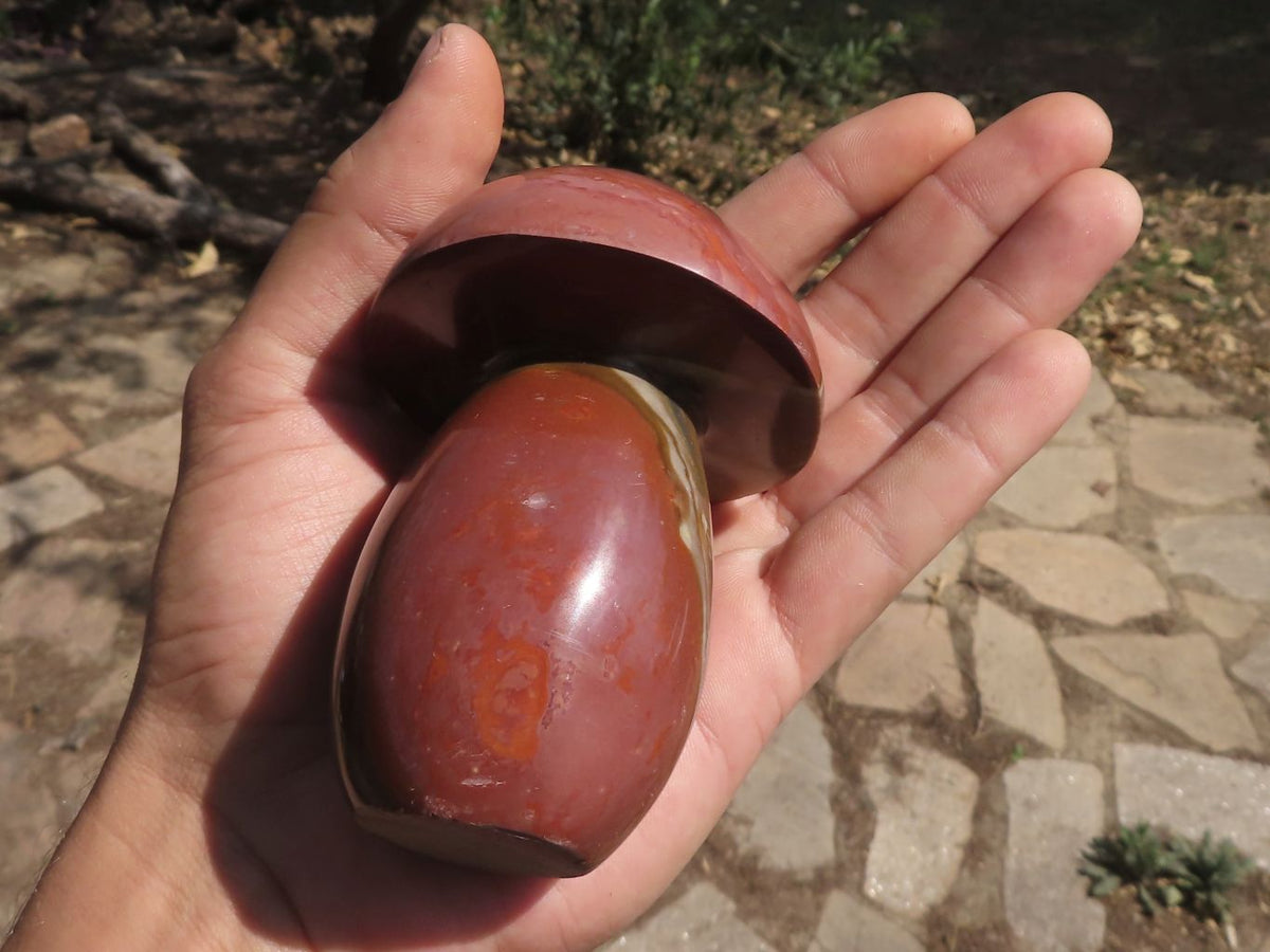 Polished Large Lovely Polychrome / Picasso Jasper Mushrooms x 6 From Mahajanga, Madagascar - TopRock