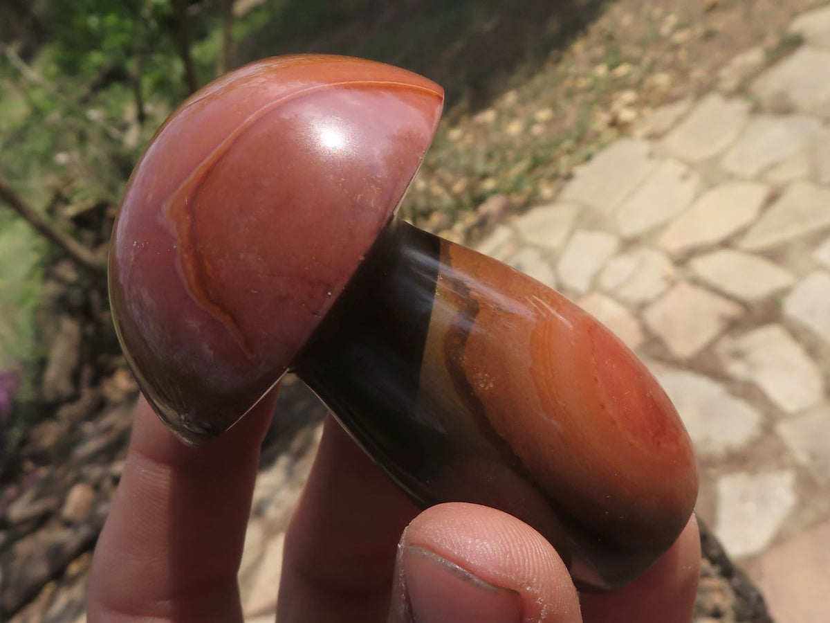 Polished Large Lovely Polychrome / Picasso Jasper Mushrooms x 6 From Mahajanga, Madagascar - TopRock