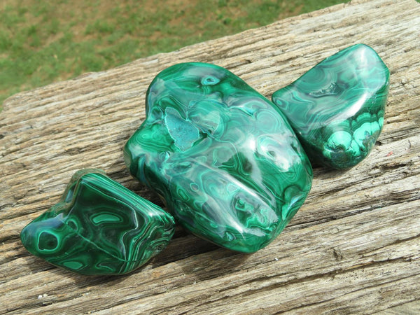 Polished Malachite Free Forms x 3 From Congo - TopRock