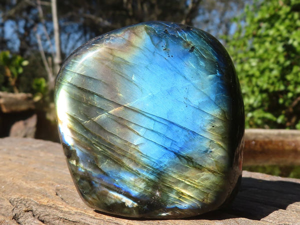 Polished Flashy Labradorite Standing Free Forms  x 6 From Tulear, Madagascar