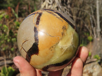 Polished Septaria (Calcite & Aragonite) Spheres  x 2 From Madagascar - Toprock Gemstones and Minerals
