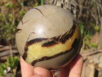Polished Septaria (Calcite & Aragonite) Spheres  x 2 From Madagascar - Toprock Gemstones and Minerals